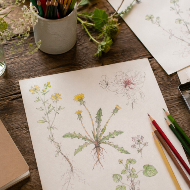 immagine di Diario di osservazioni naturali | Lab di disegno 