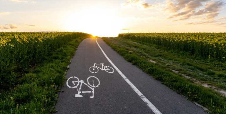 Elogio della bicicletta