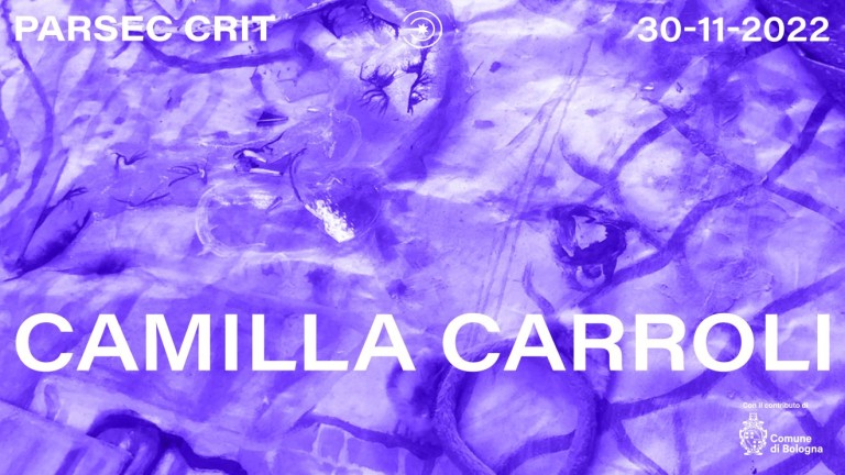 copertina di Crit con Camilla Carroli