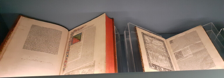 immagine di Michelangelo e Bologna