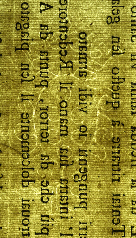 image of ID. 95 stemma Medici, IS