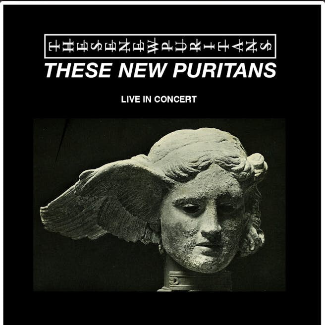 image of These New Puritans