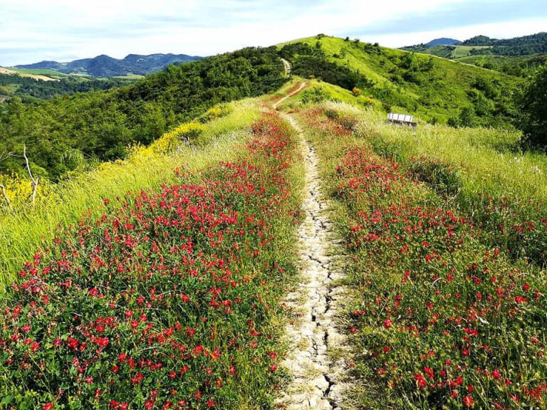 copertina di Tra rosso e giallo in Val di Zena