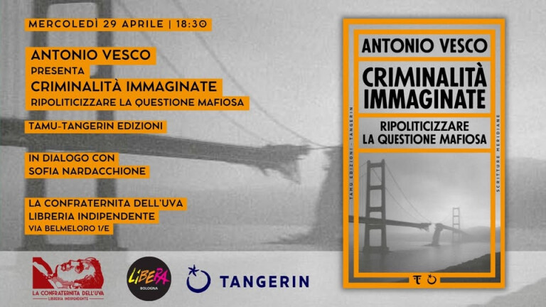 copertina di Criminalità immaginate