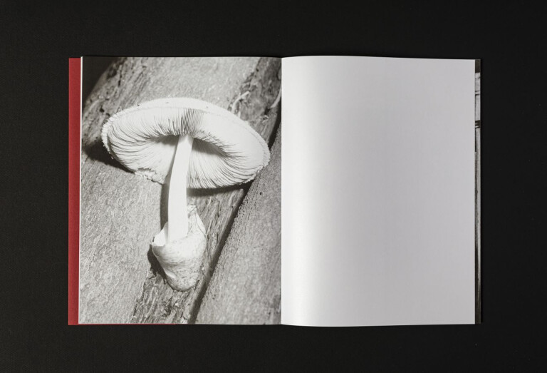 Photobook Mania