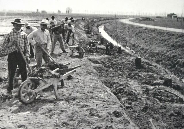 Braccianti della Società Cooperativa fra gli operai del mandamento di Budrio