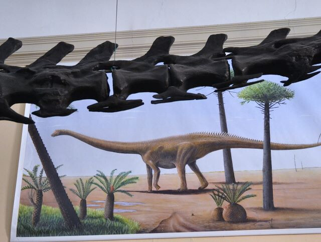 Collezione di Geologia "Museo Giovanni Capellini"