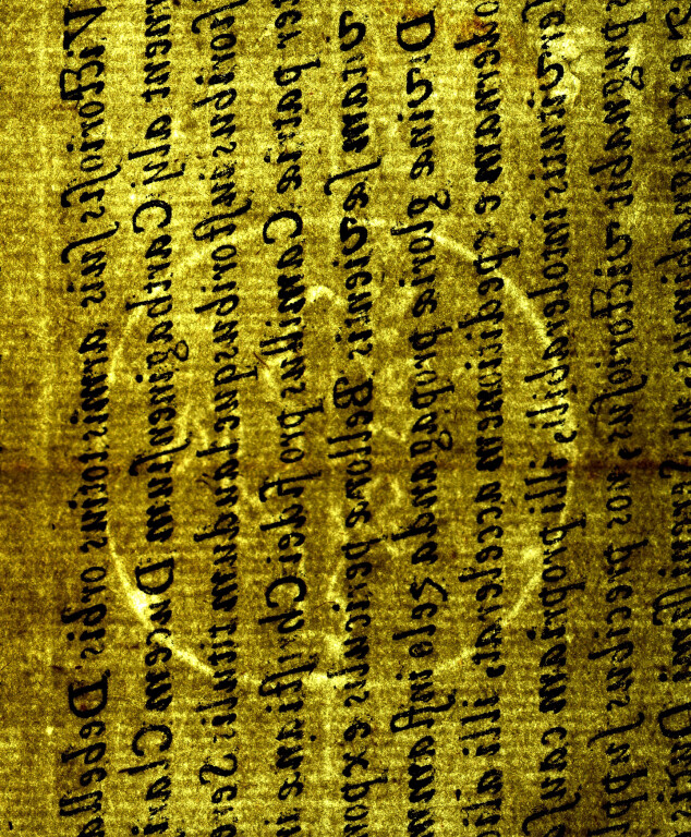 image of ID. 210 leone rampante cerchiato