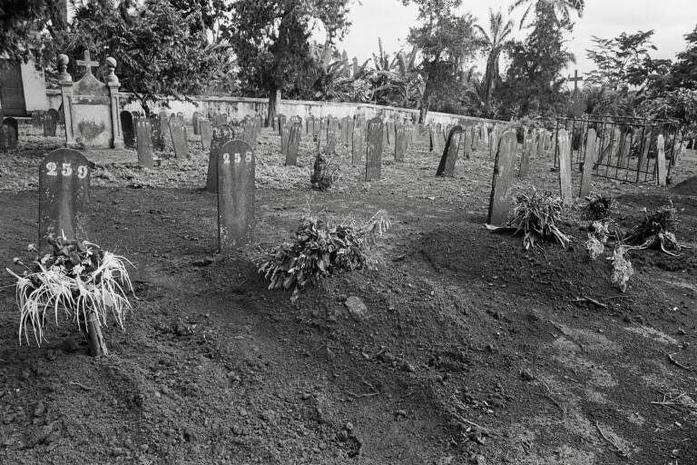 immagine di São Tomé 1982-84