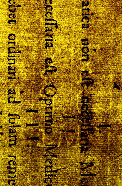 image of ID. 99 testa di profilo, DMP