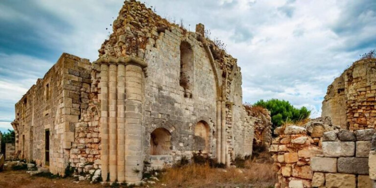 copertina di Lingua greca, terra italiana