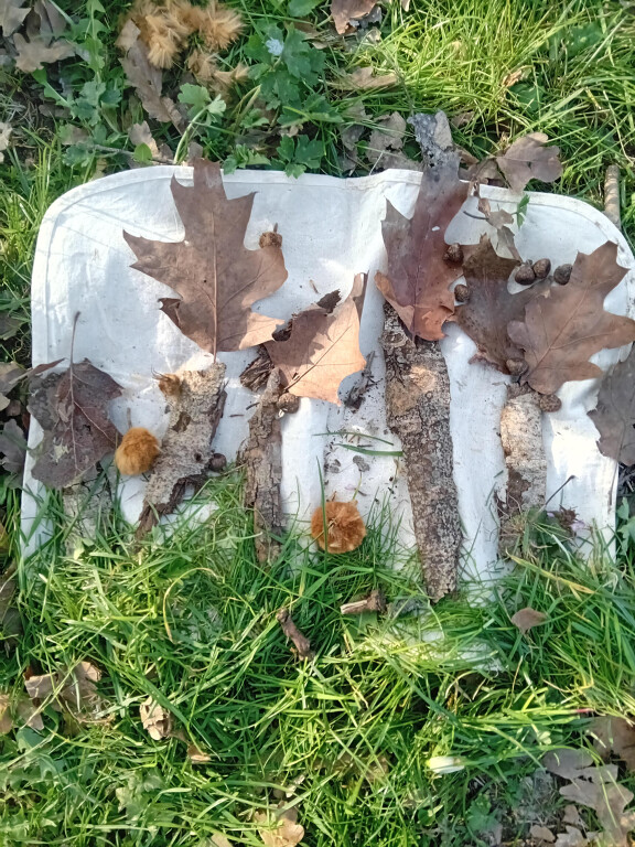 immagine di Un parco straordinario