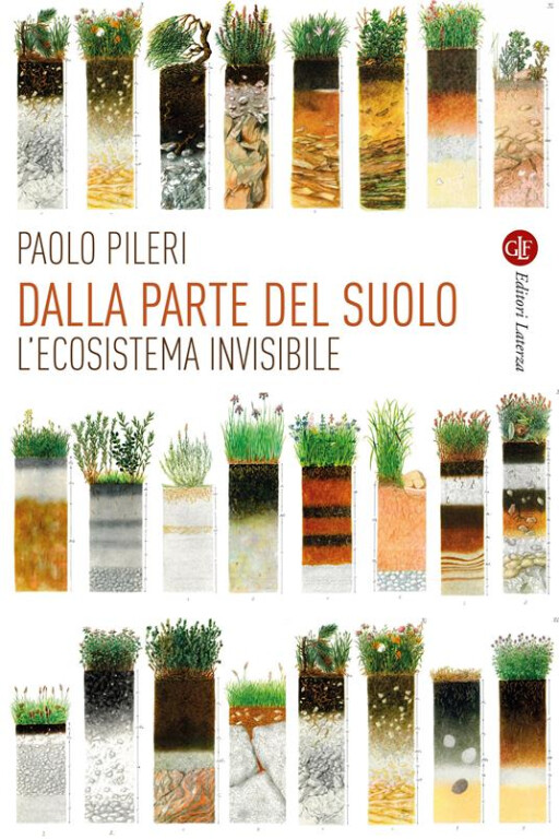 copertina di Dalla parte del suolo : l'ecosistema invisibile