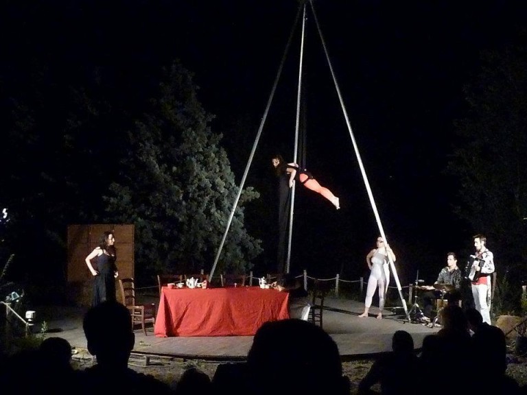 mezzanotte gatti.jpg