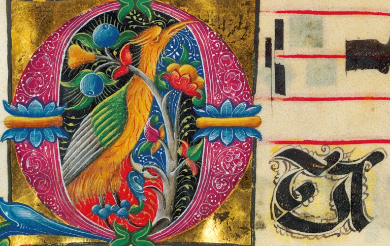 wunderkammer