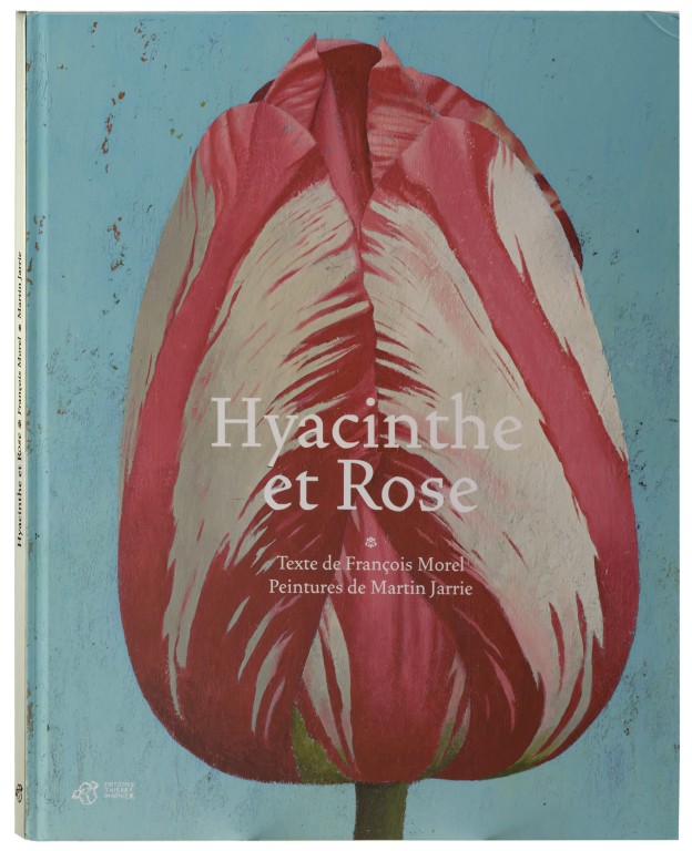 copertina di Hyacinthe et rose
