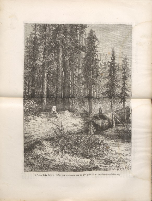 immagine di Louis Simonin, Attraverso gli Stati Uniti dall'Atlantico al Pacifico (1876)
