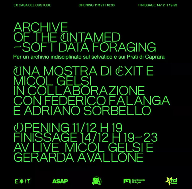 cover of Archive of the Untamed - Soft data foraging   Performance Live di Micol Gelsi