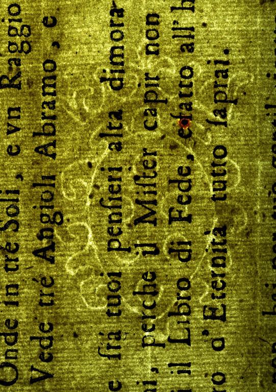 image of ID. 112 stemma Medici
