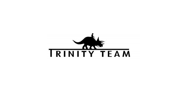 cover of Trinity Team