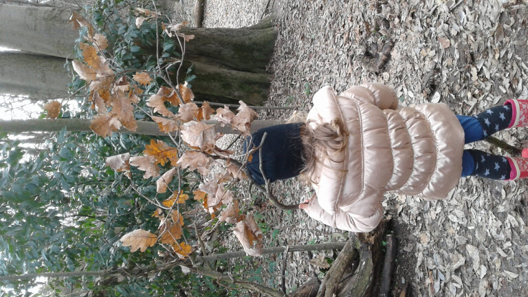 immagine di Carnevale naturale