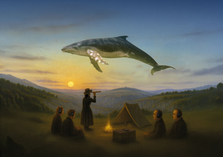 copertina di FUORI PORTA   Cartolina 1. Pietre, calanchi, balene