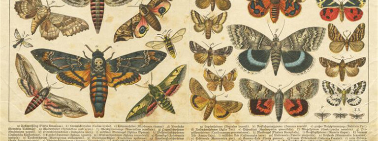 copertina di Il patrimonio tra reale e digitale | La digitalizzazione del patrimonio culturale