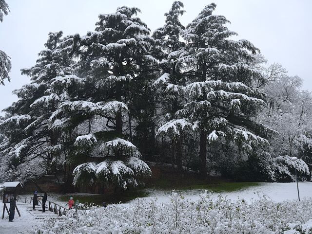 Nevicata del 6 gennaio 2026