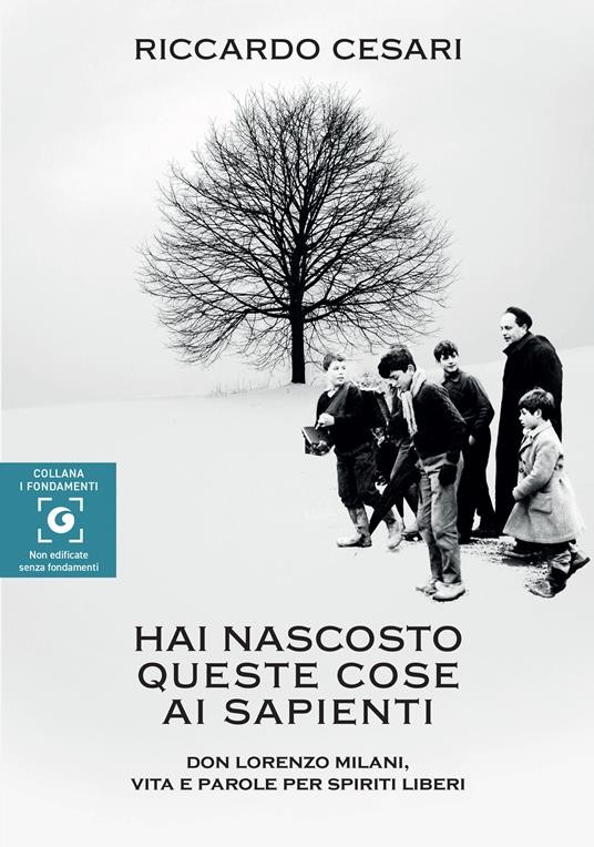 copertina di HAI NASCOSTO QUESTE COSE AI SAPIENTI