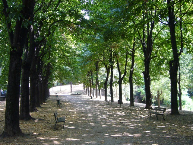 Viale del Parco di San Michele in Bosco nei pressi dell'ingresso di via Codivilla