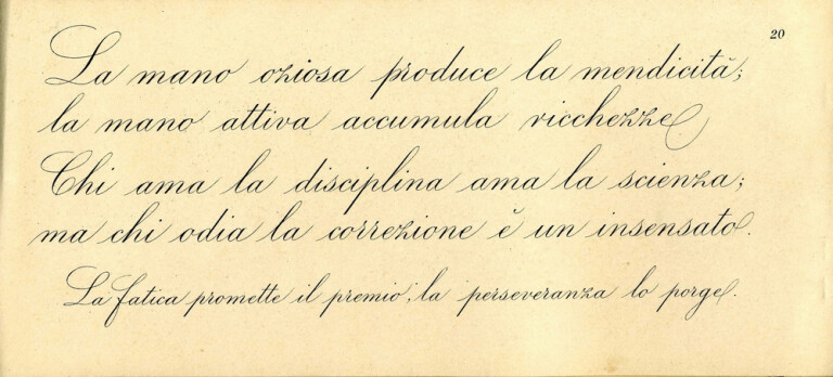 immagine di