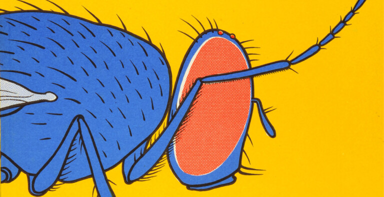 immagine di Designing knowledge. Marie Neurath's Isotype books for children