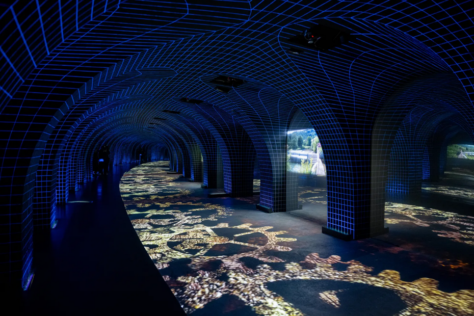 cover of Il Museo va in città