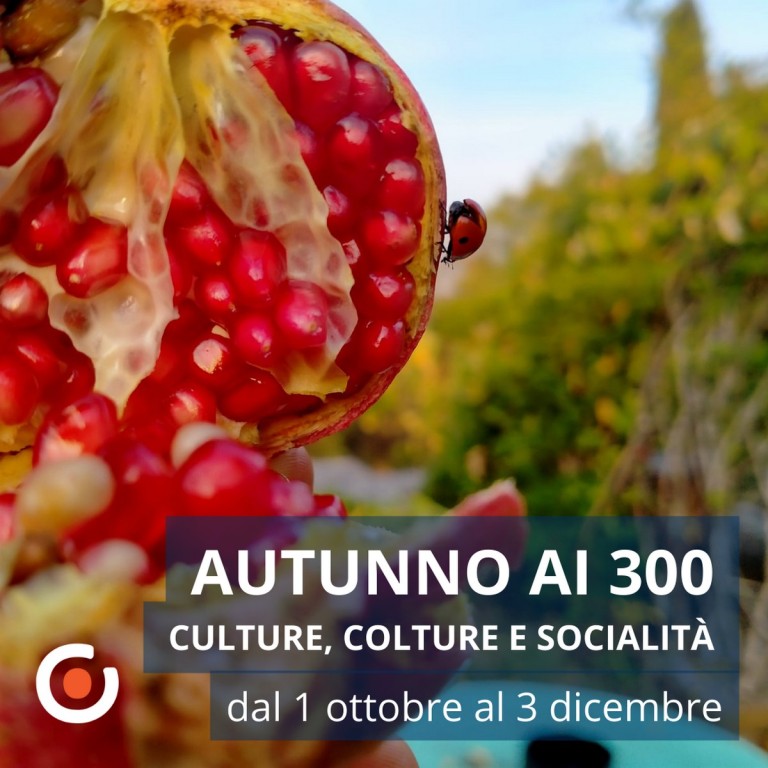 image of Autunno Ai 300 scalini | Buoni frutti