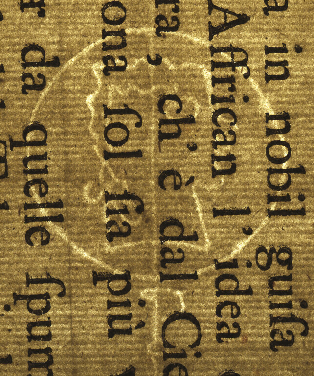 image of ID. 171 testa di profilo cerchiata, P