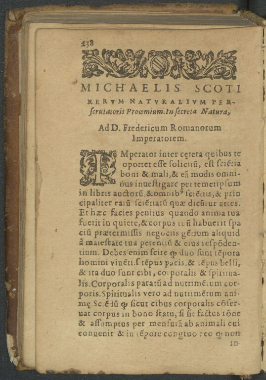 immagine di Michele Scoto, mago e ghiottone a Bologna