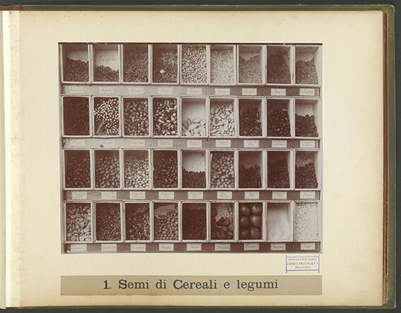 immagine di Album Bombicci 17