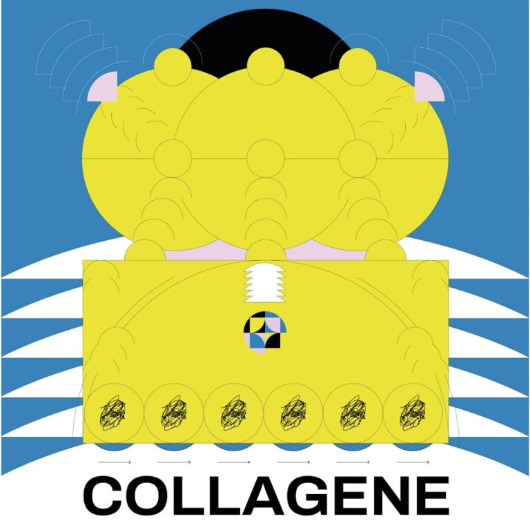 image of COLLAGENE | Prima parte