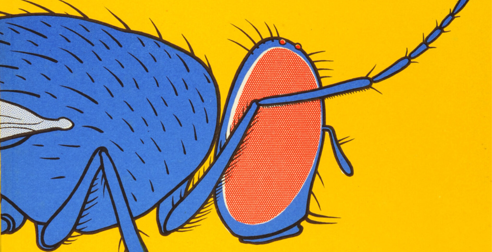 copertina di Grandi maestri