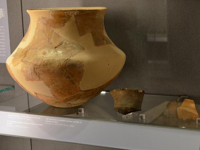 Frammenti di vasi e scodelle dell'Età del Bronzo ritrovati nella Grotta del Farneto 