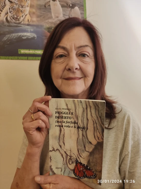 immagine di Pioggia e deserto (ma la farfalla rossa vola e si posa)