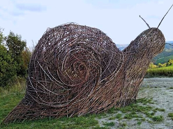 La lumaca ribelle di Barbarolo (Loiano)