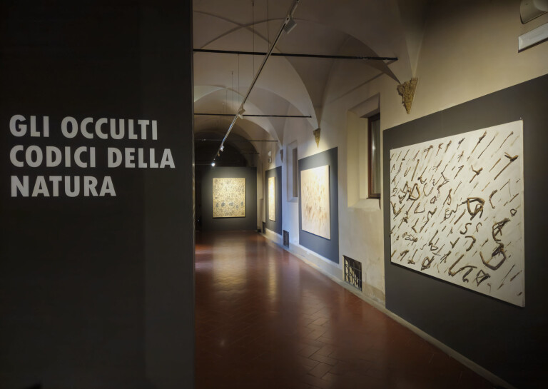 Sartelli Imola