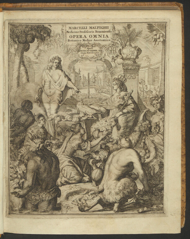 6.1 MARCELLO MALPIGHI, Opera omnia, seu Thesaurus locupletissimus botanico-medico-anatomicus, viginti  quatuor tractatus complectens  Leida, Pieter Vander Aa, 1687. 4°. 2 volumi 