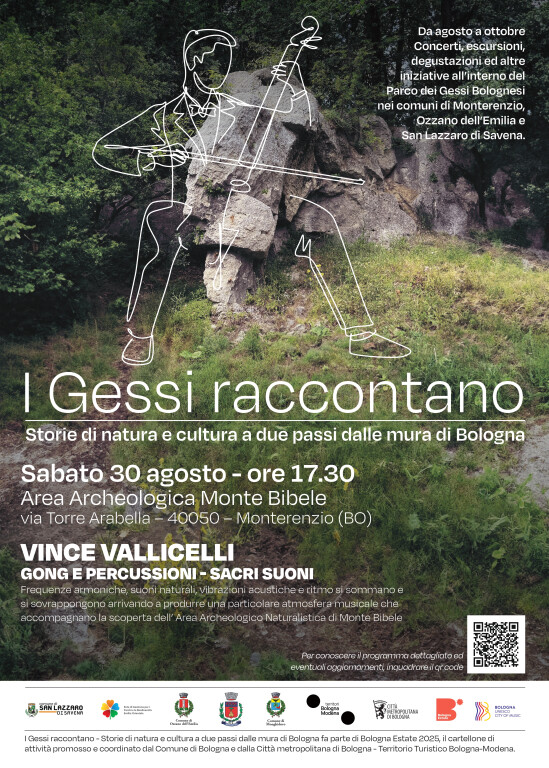 copertina di Vince Vallicelli “Gong e percussioni: sacri suoni”
