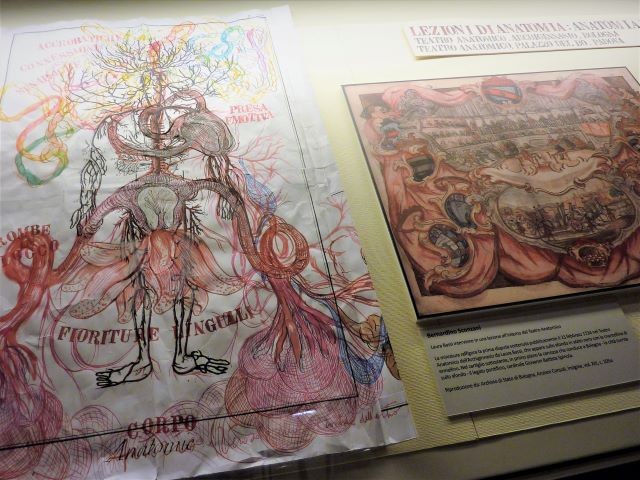 Manifesto anatomico di anatomia parallela