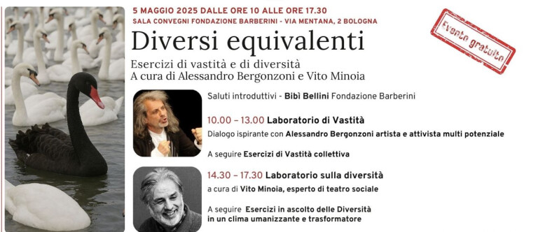 copertina di Diversi equivalenti