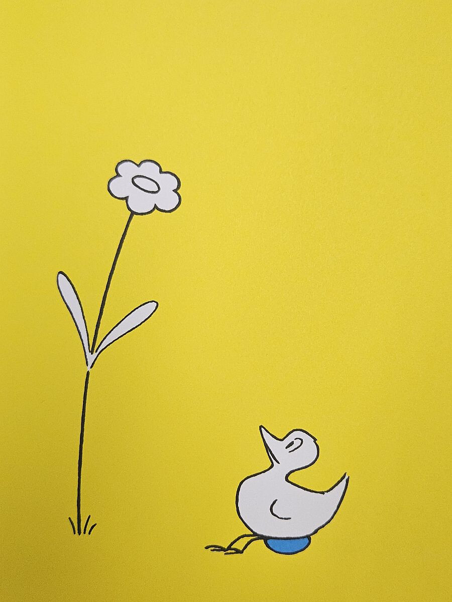 copertina di Dentro il guscio: una storia