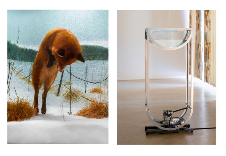 copertina di A Body Engineered by Water