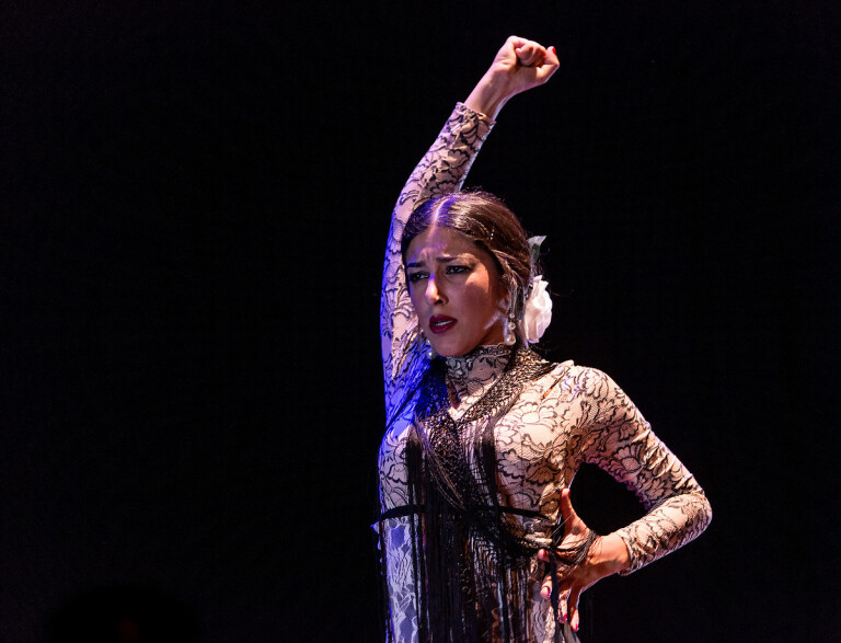 copertina di Noche Flamenca